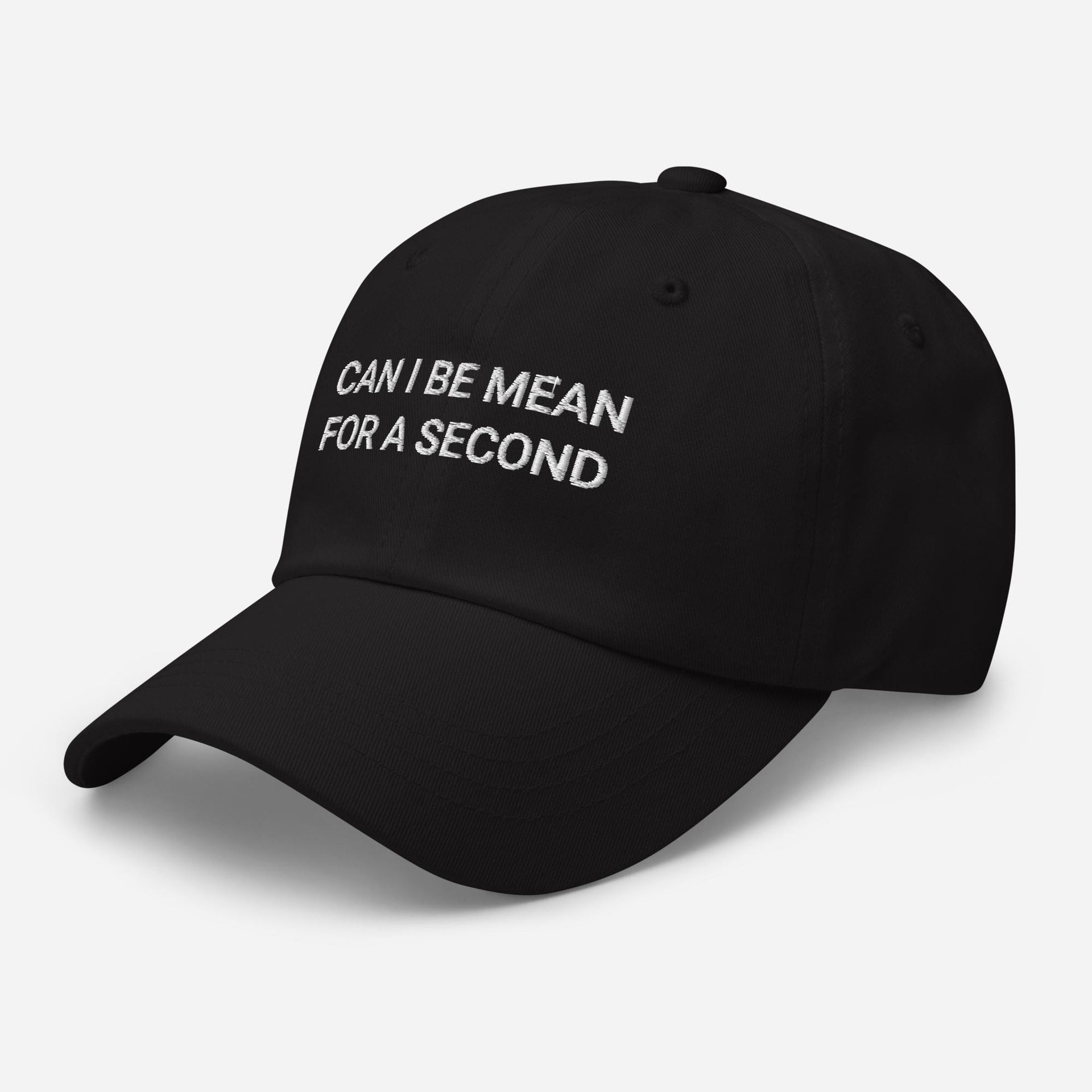 Funny Embroidered Dad Hat: Sarcastic Baseball Cap