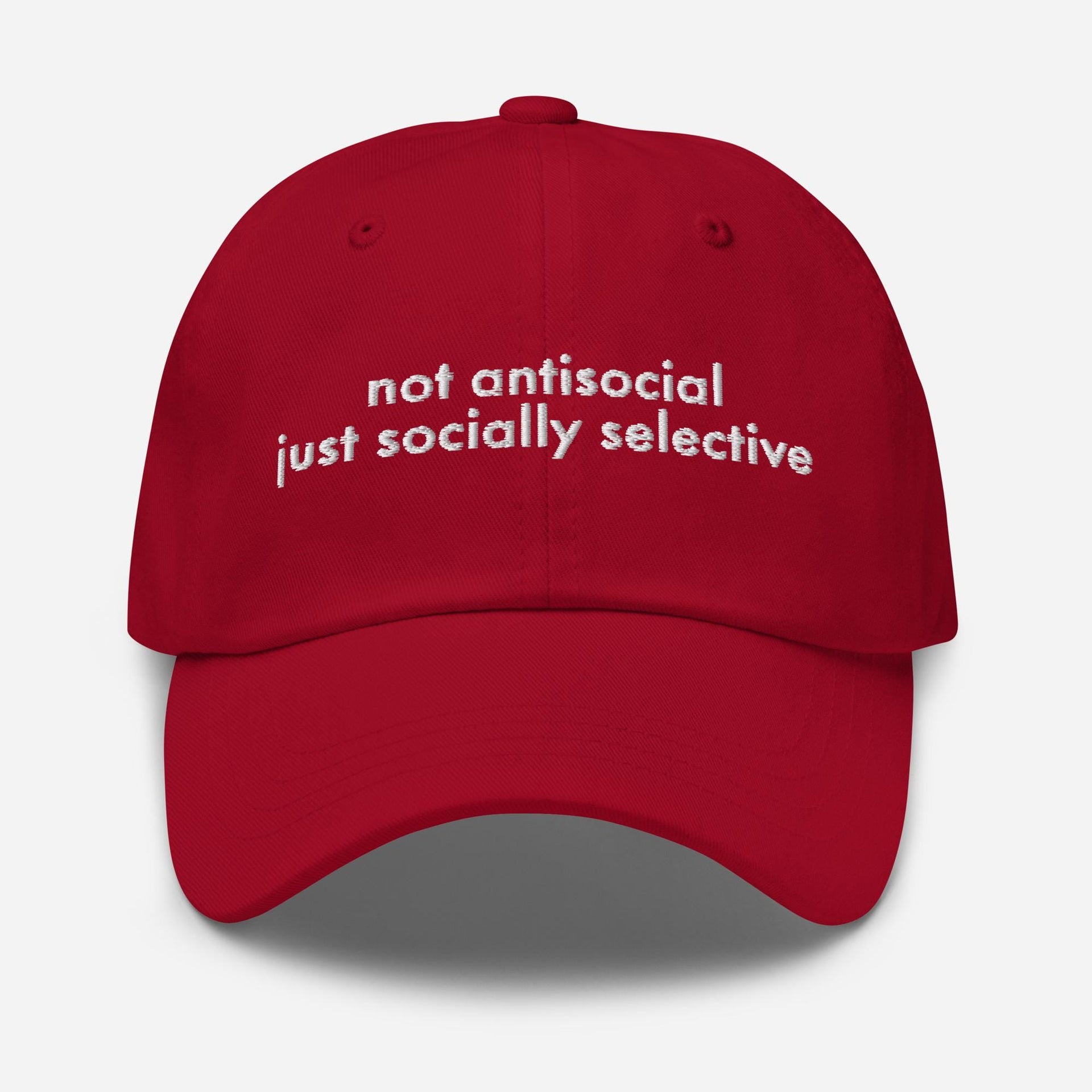 Embroidered Dad Hat: Socially Selective Sarcastic Cap