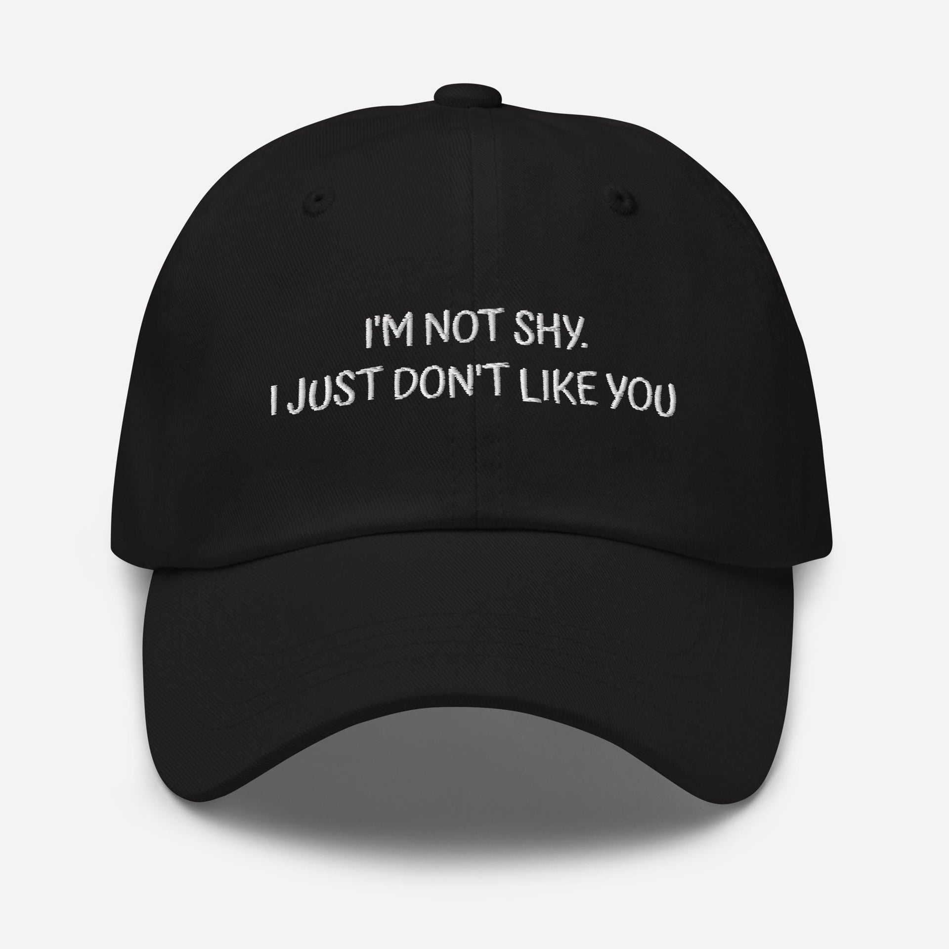 Embroidered Dad Hat: Funny Sarcastic Introvert Gift