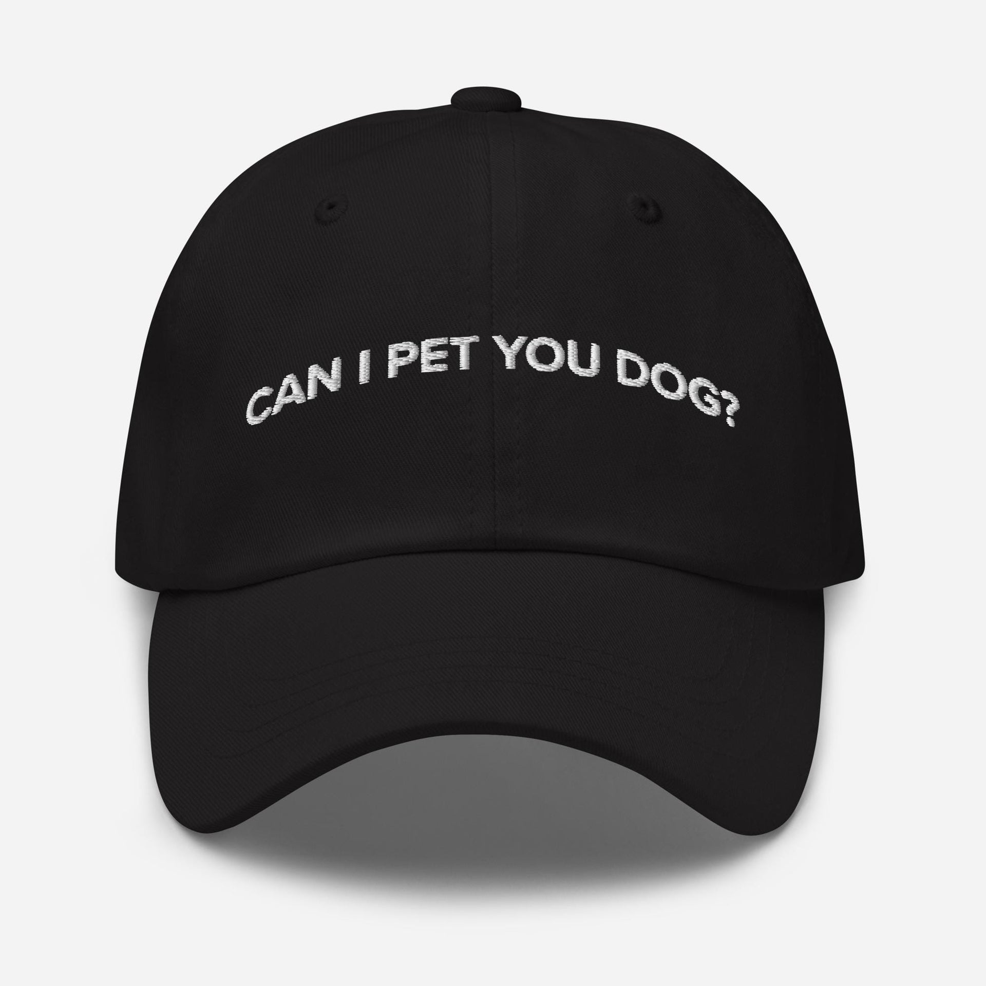 Embroidered Hat, Dog Lover Hat, Can I Pet Your Dog Hat, Adjustable Dad Hat, Funny Dog Hat, Minimalist Baseball Cap, Pet Lover Gift